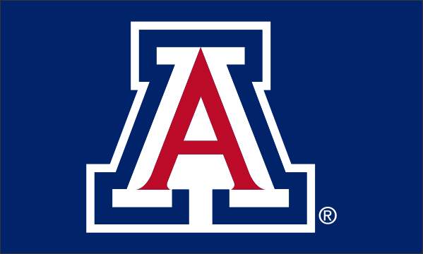 3x5 University of Arizona Wildcats Sewn Outdoor Polyester Flag
