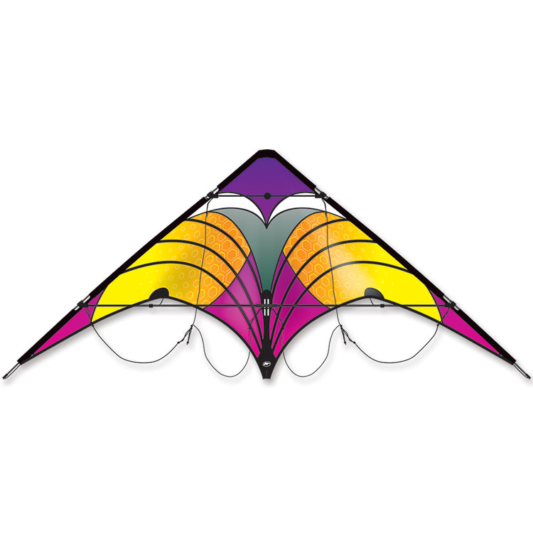 Sunset Vision Sport Kite