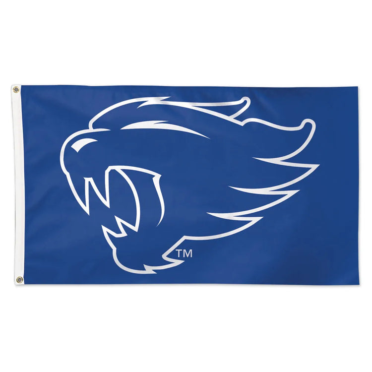 3x5 Savannah Bananas Outdoor Flag