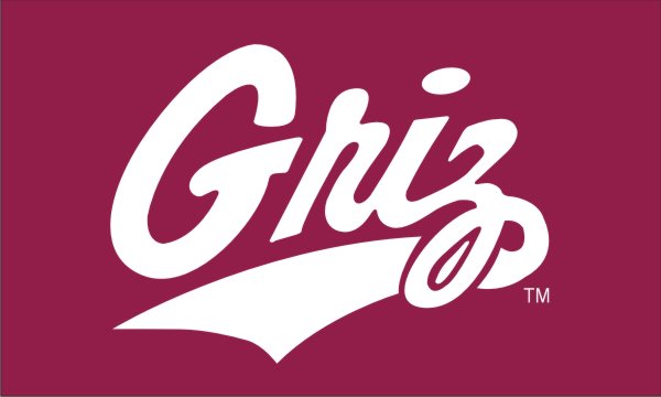 3x5 University of Montana Grizzlies Outdoor Flag