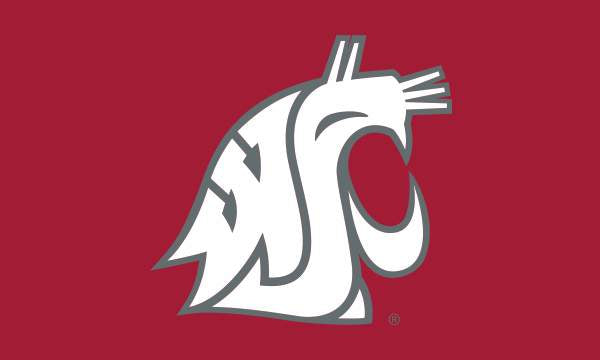 6x10 Washington State University Cougars Outdoor Flag