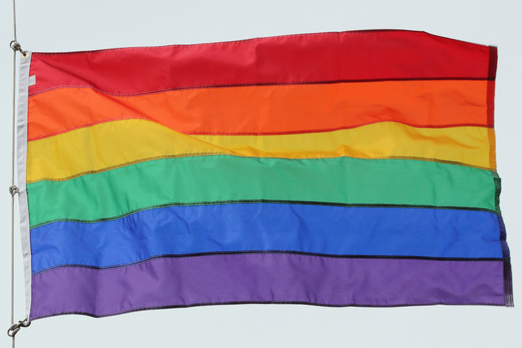2.5x4 Rainbow Outdoor Nylon Flag