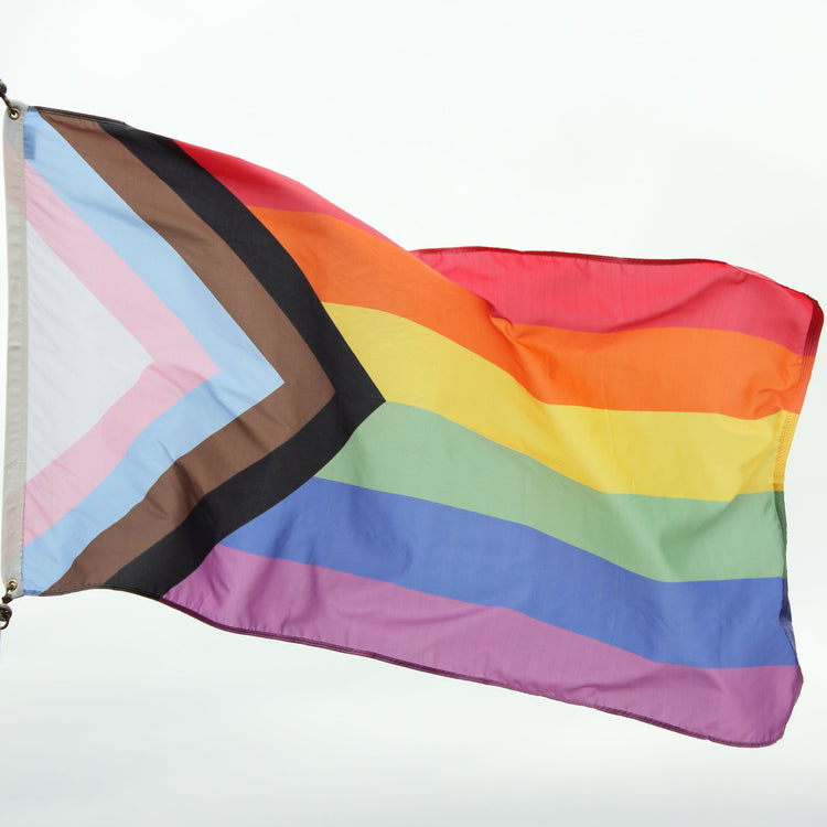 5x8 Progress Pride Outdoor Nylon Flag