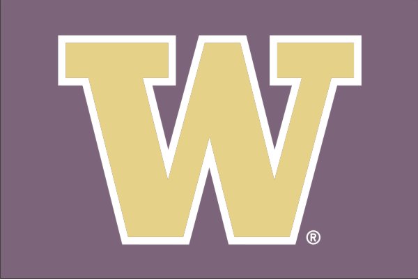 12"x18" University of Washington Huskies Outdoor Flag