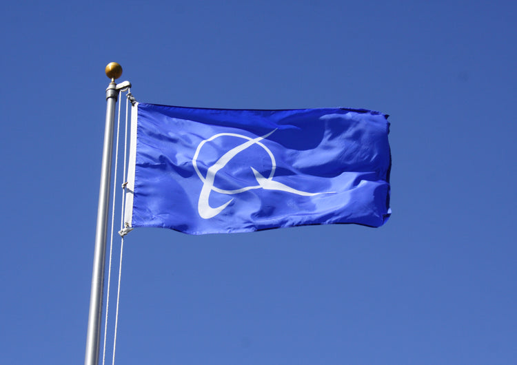 5x8 Boeing Outdoor Nylon Flag