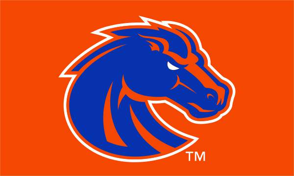 3x5 Boise State University Broncos Outdoor Flag