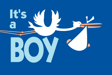 3x5 It's a Boy Delivery Outdoor Nylon Flag