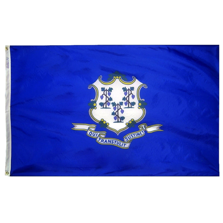 12"x18" Connecticut State Outdoor Nylon Flag