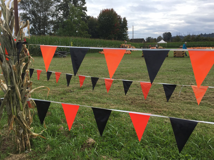 9"x12" Black & Orange pennant string - 120'