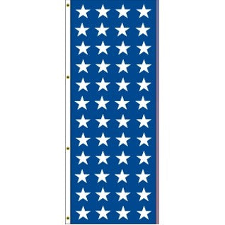 8x3 Blue & White Stars Attraction Flag