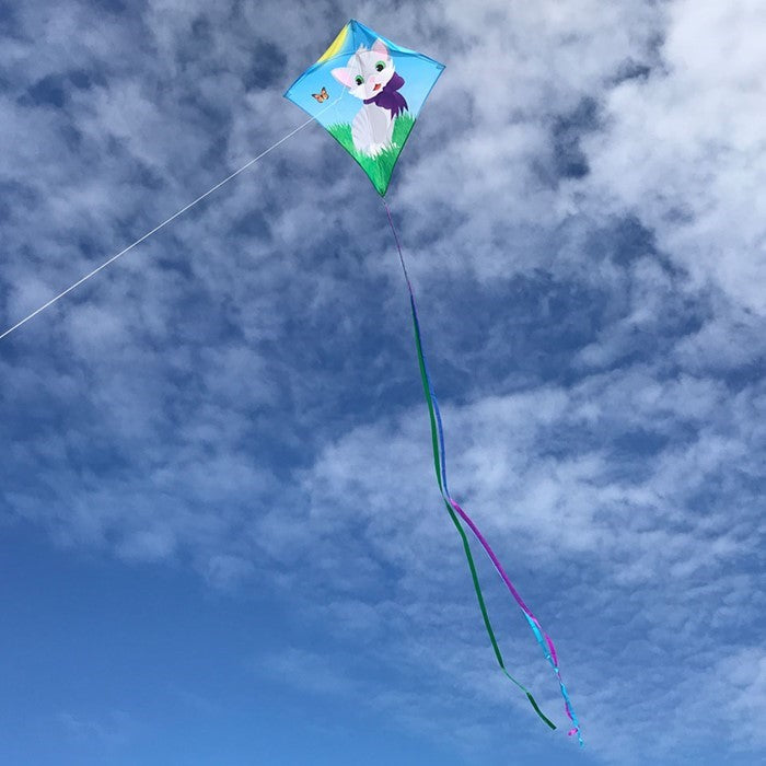 Kitten Diamond Kite