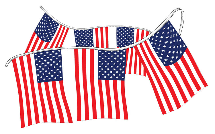 12"x18" USA Pennant String - 60'
