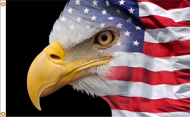 3x5 US Flag Eagle Seasonal Flag, Nylon H&G