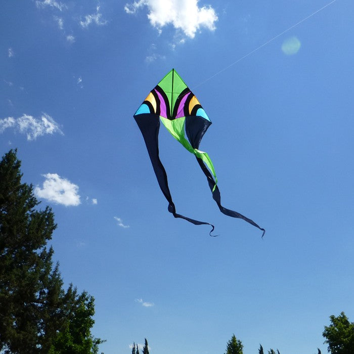 Dashiki Ripstop Nylon Delta Kite with Fiberglass Dowel Frame to include 100 ft. 70 lb. Test Line & Winder & 84" attached tube tail ; 77"x23' - Wind Range 5 ~ 18 mph