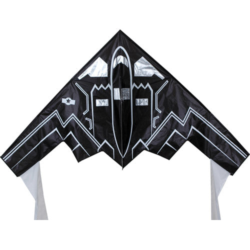 Stealth Polyester Delta Kite