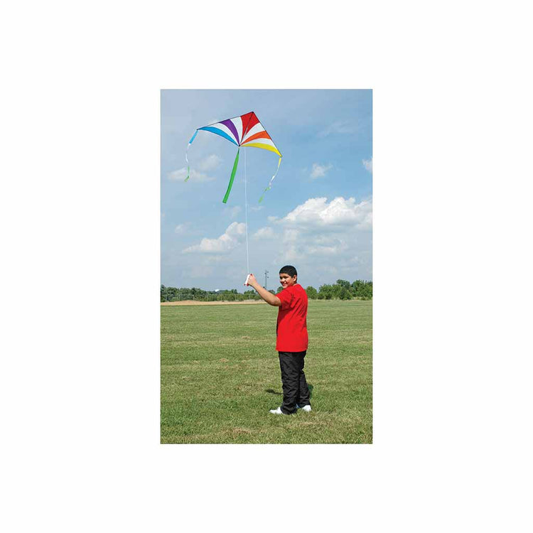 Rainbow Nylon X-Delta Kite with Wing-Tip Tails