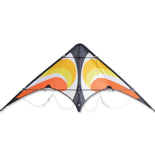 Warm Swift Vision Rip-Stop Nylon Sport Kite