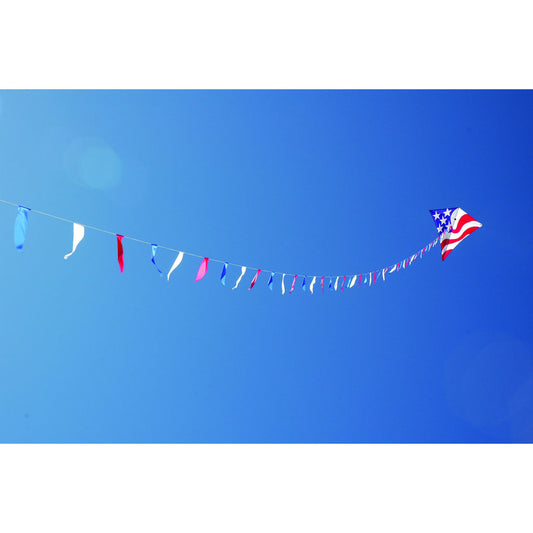 Patriotic Flag Line - 100' x 200 lb. Test Line