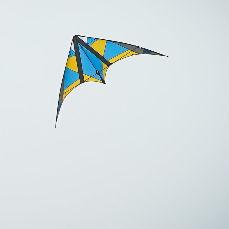 Blue Hornet 1 Dyneema Dual-Line Stunt Kite