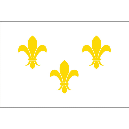 4x6 French Fleur de lis with White Background Historical Nylon Flag