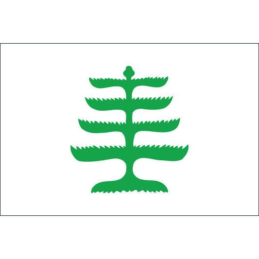 4x6 Pine Tree Historical Nylon Flag