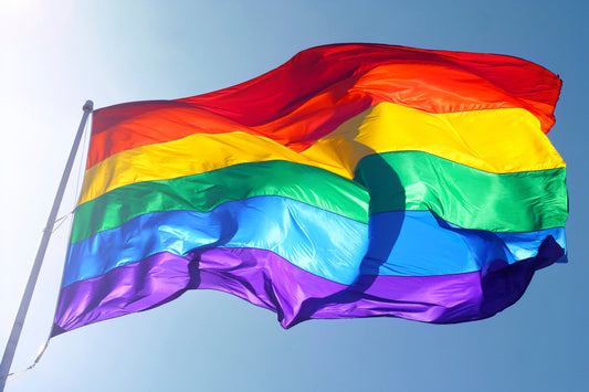 8x12 Rainbow Outdoor Nylon Flag